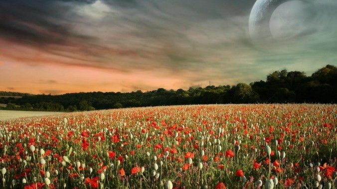 为什么 Go 语言的 Error Handling 被某些人认为是一个败笔？